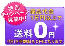 商品代金9,000円(税抜)以上で送料0円