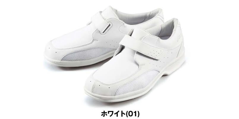 色展開